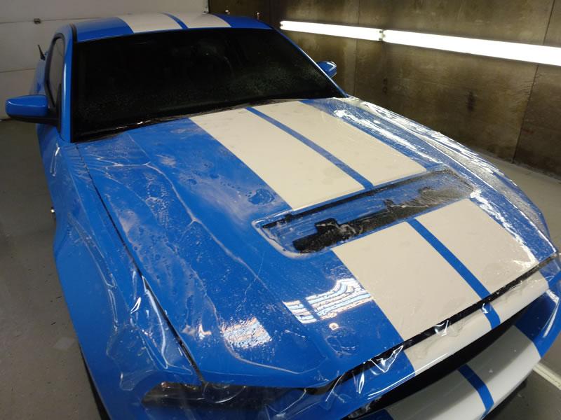 Mustang Shelby GT500 full wrap pkg Xpel Ultimate