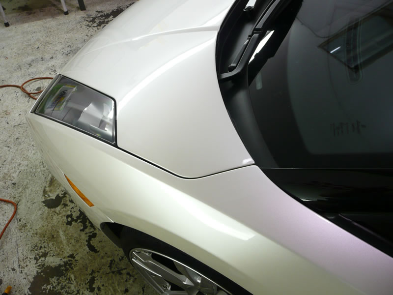 2006 Gallardo Full Wrap Pkg & Tint