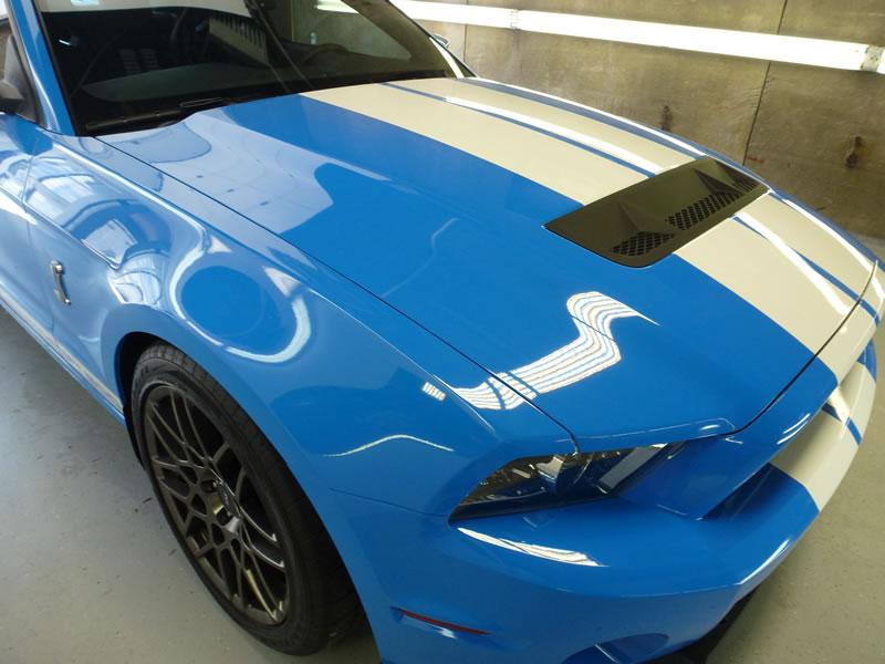 Mustang Shelby GT500 full wrap pkg Xpel Ultimate