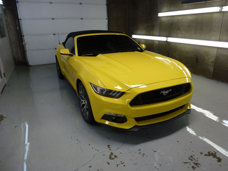 Mustang Full Wrap Pkg