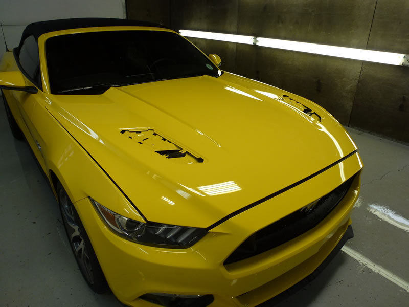 Mustang Full Wrap Pkg