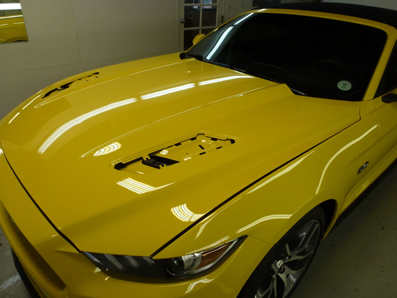 Mustang Full Wrap Pkg