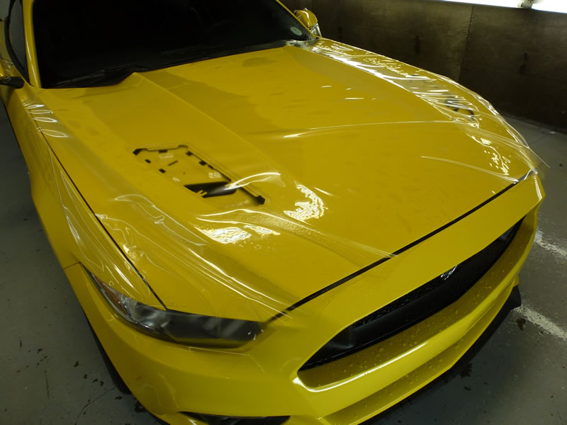 Mustang Full Wrap Pkg