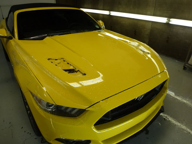 Mustang Full Wrap Pkg