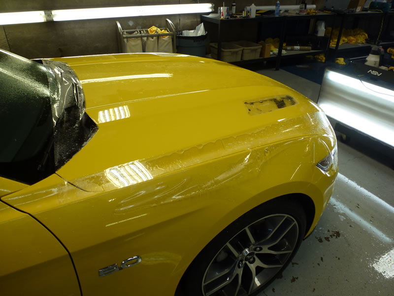 Mustang Full Wrap PkgMustang Full Wrap Pkg