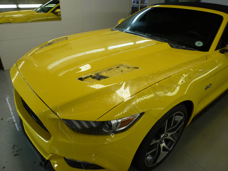 Mustang Full Wrap Pkg