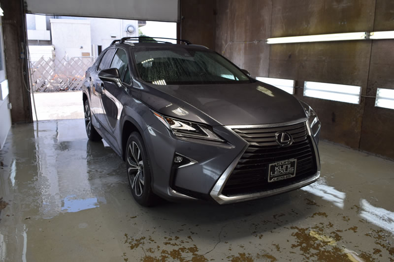 Lexus RX350 18 plat and bumper