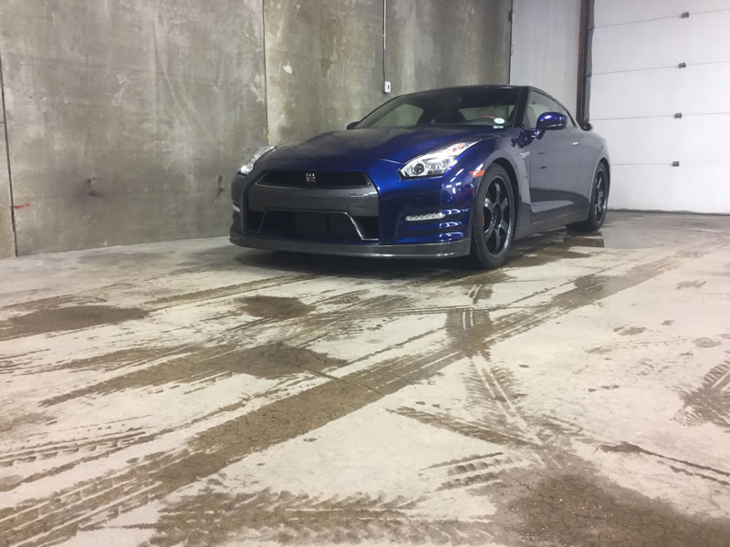 Nissan GTR 24" Platinum and Bumper