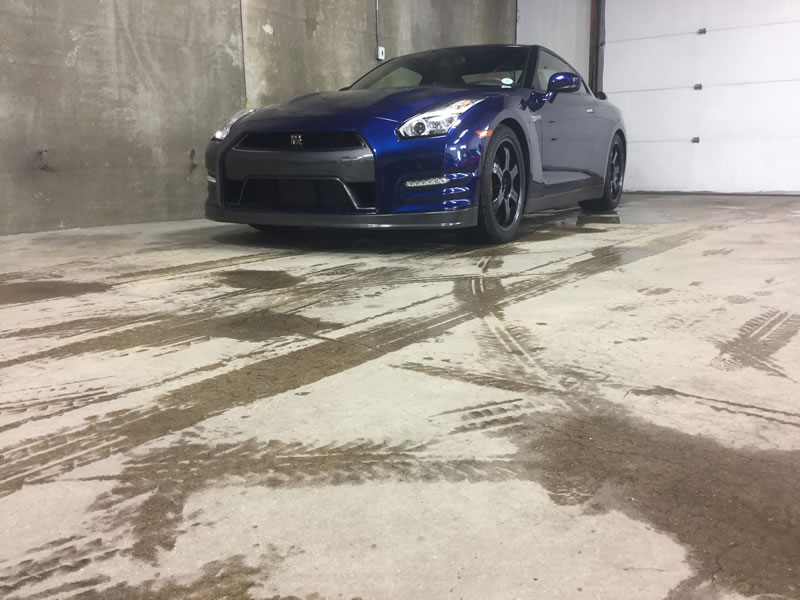 Nissan GTR 24" Platinum and Bumper