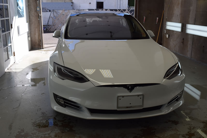 Tesla White