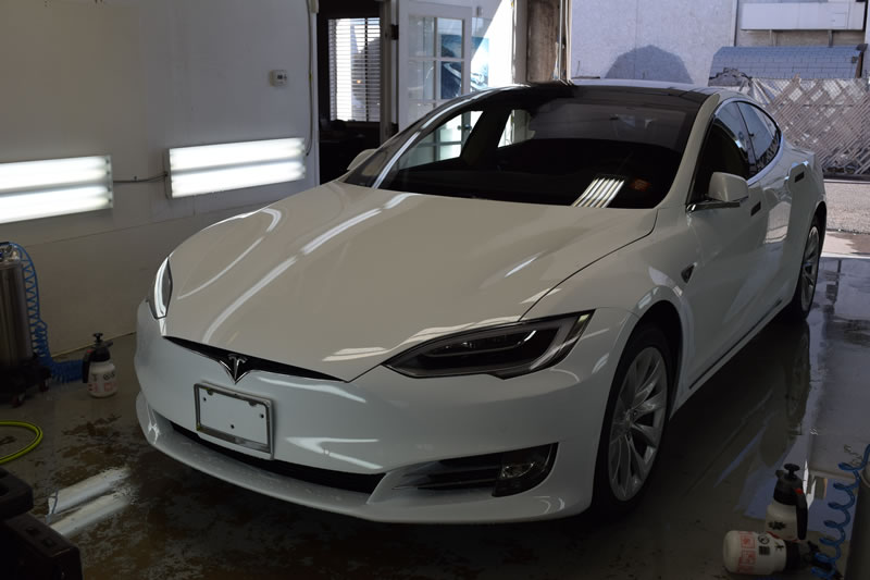 White Tesla clear bra